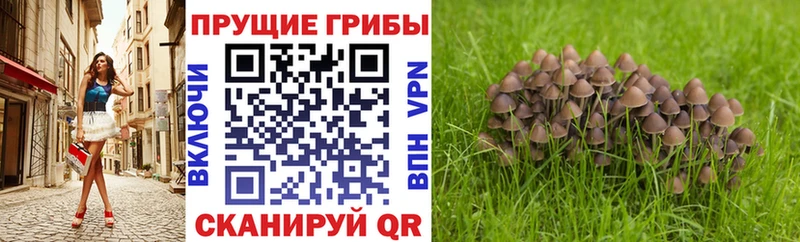 Псилоцибиновые грибы ЛСД Магас