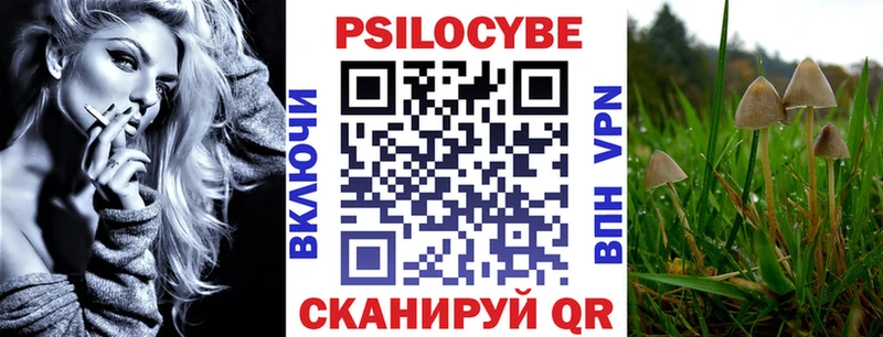 дарк нет официальный сайт OMG зеркало Магас Галлюциногенные грибы GOLDEN TEACHER